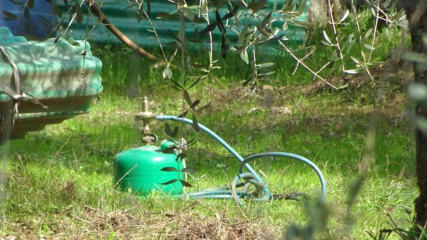 Anziano muore mentre brucia un nido d’insetti