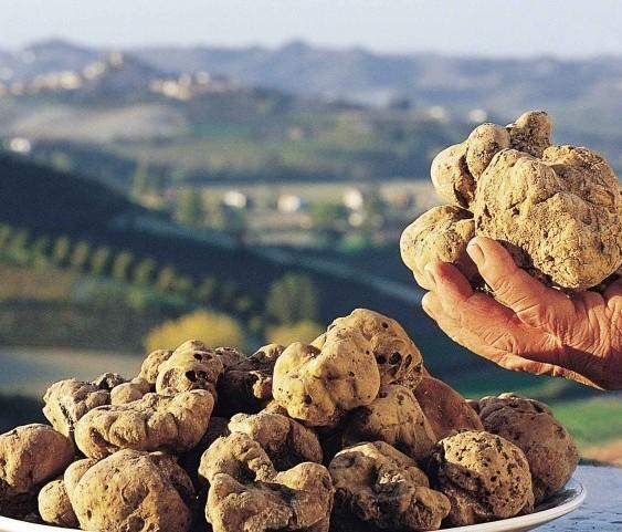 A lezione di raccolta di tartufi e poi l’esame il 24 ottobre