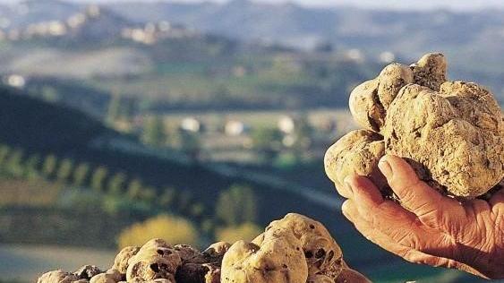 A lezione di raccolta di tartufi e poi l’esame il 24 ottobre