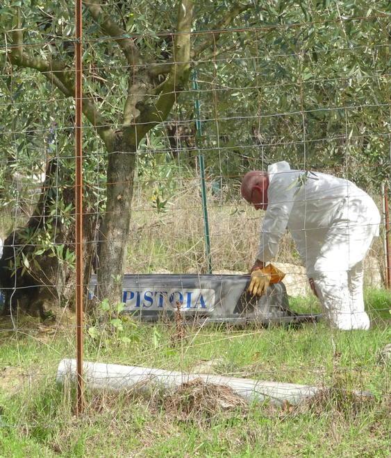 Muore per bruciare un nido di calabroni