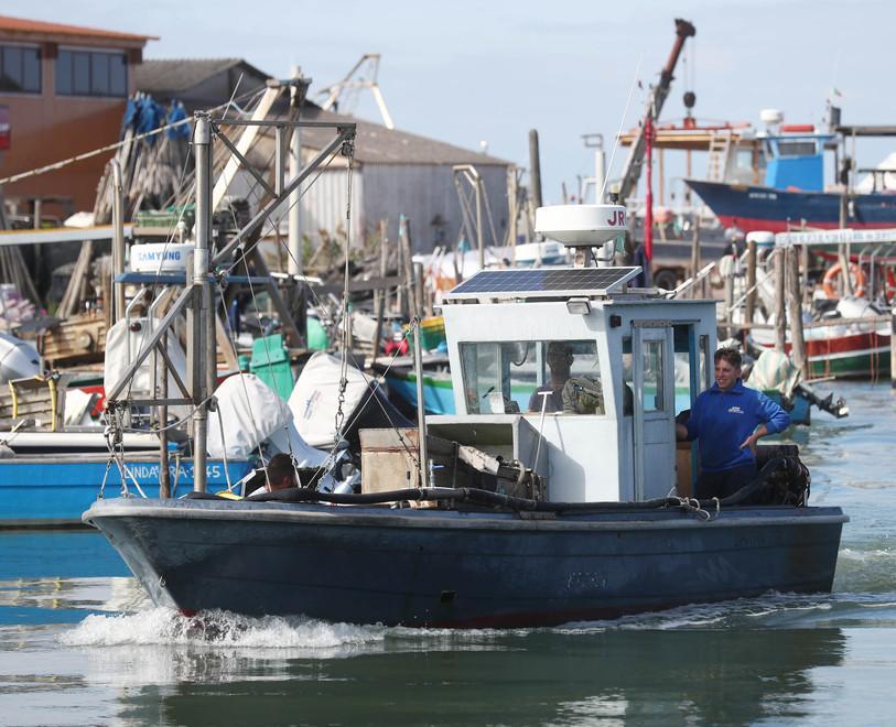 Altro passo avanti verso il Testo unico per il settore pesca 