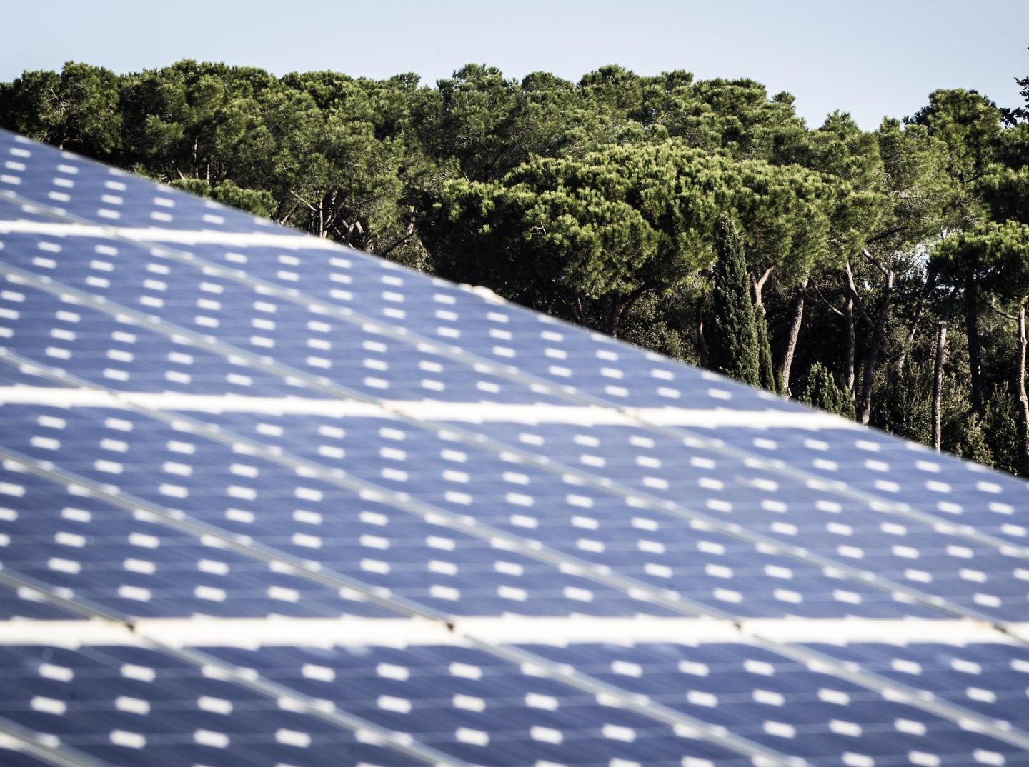 Reddito energetico, arrivate 120 domande 