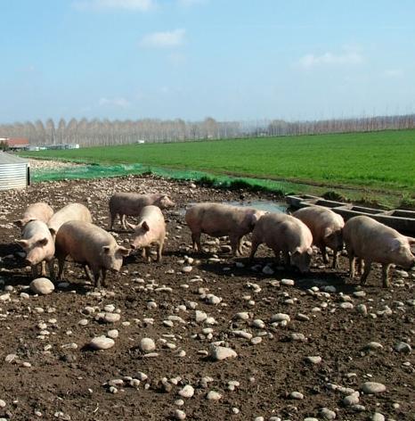 Tre milioni per un impianto di smaltimento