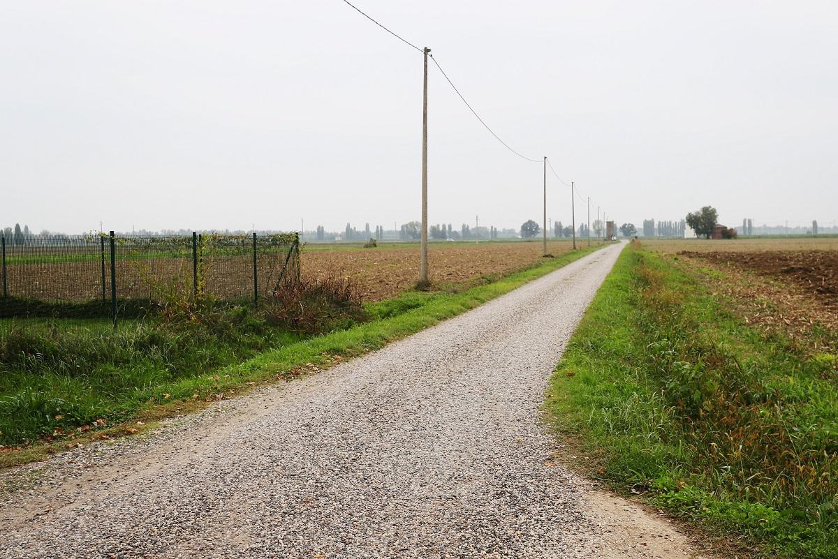 Ferrara, incidente mortale nella notte