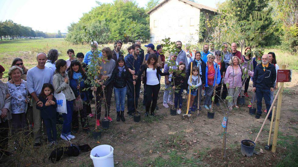 I cittadini piantano alberi «per fermare le ruspe»