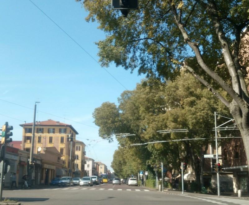 Viale Storchi, troppe auto in doppia fila