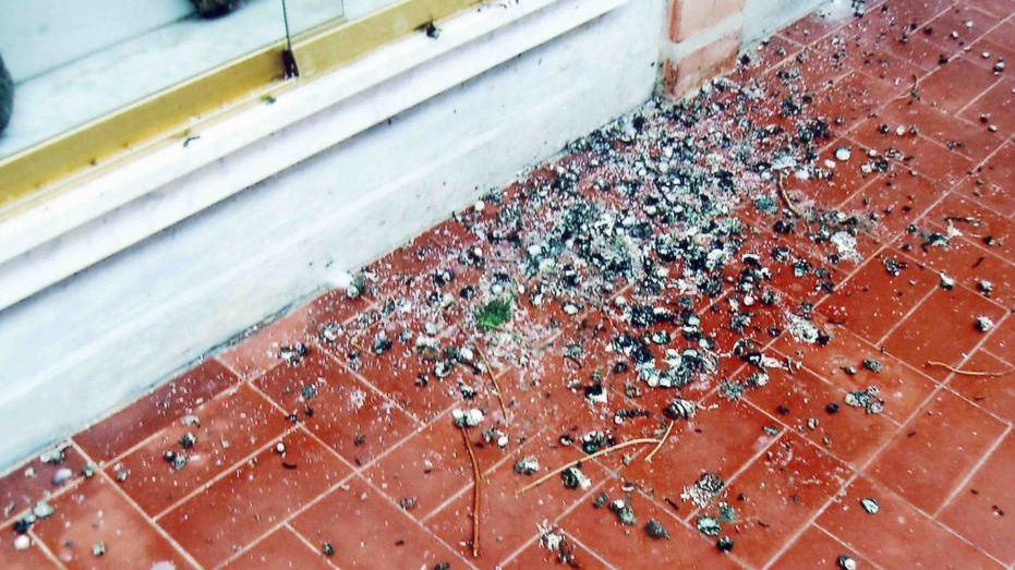 Quacchio e Ponte Proteste sul degrado dei cimiteri