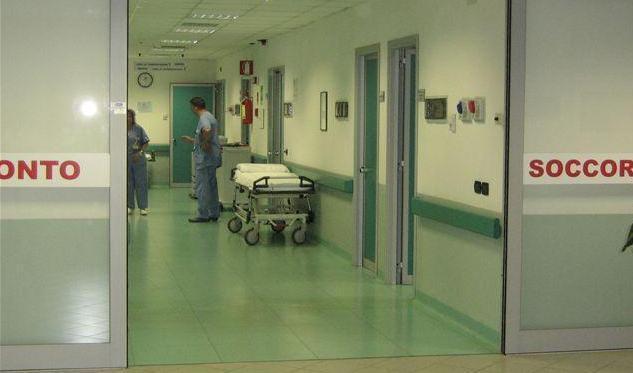 Rischia di morire per un calabrone 
