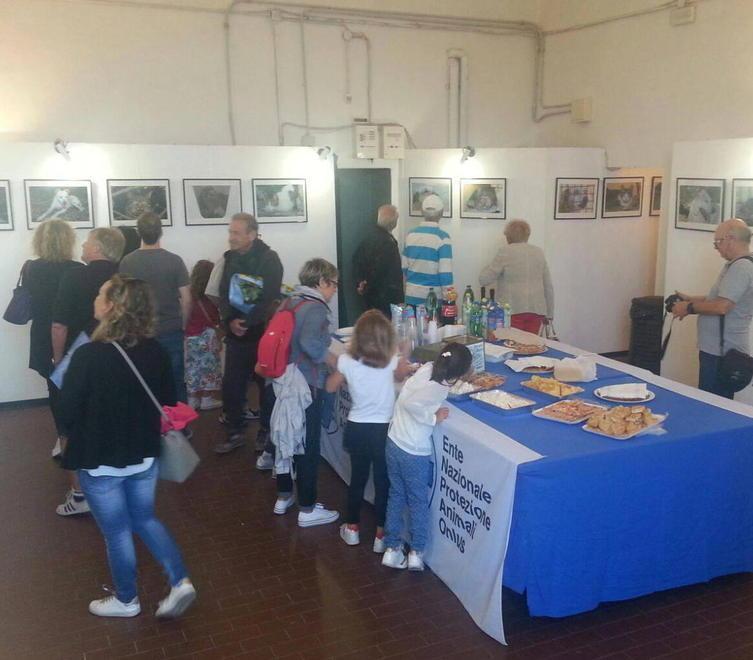 Sabato e domenica Enpa in via Ferrer per tutti gli animali