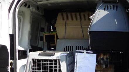 I cani di Grosseto arrivano a Pistoia “sotto scorta”