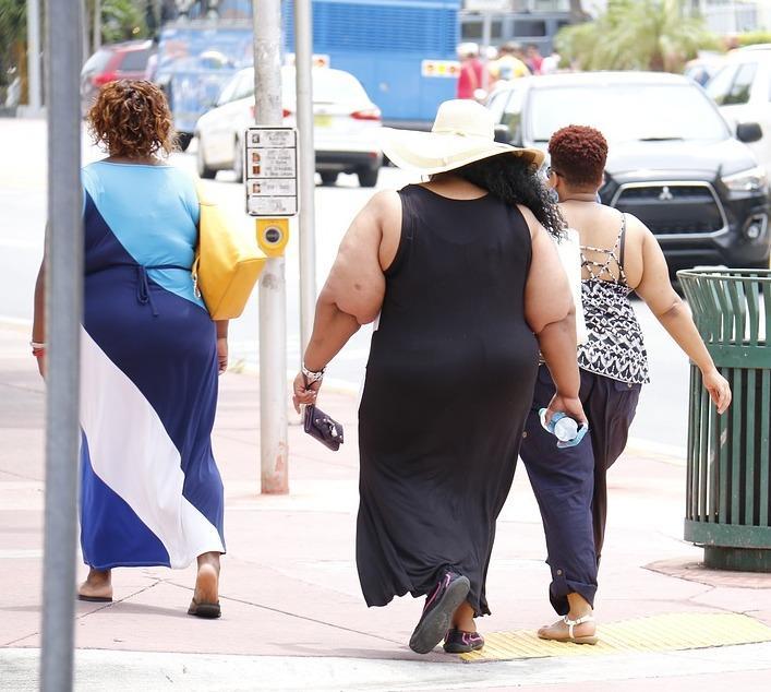 Pomarance sarà il fulcro delle ricerche sull’obesità 