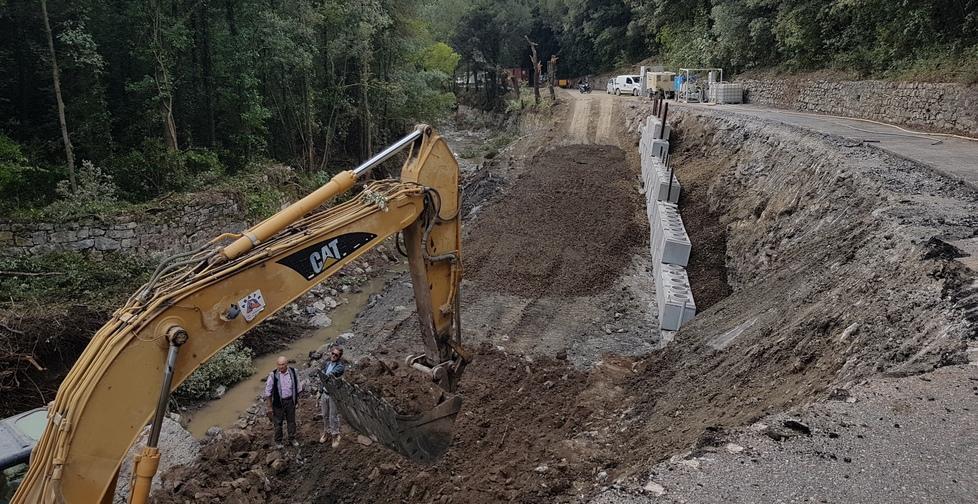 Gabbro semi-isolata da 20 giorni 