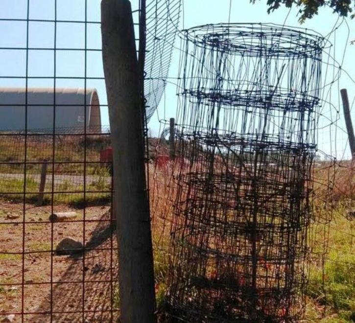 Una rete come trampolino e poi l’assalto al gregge 