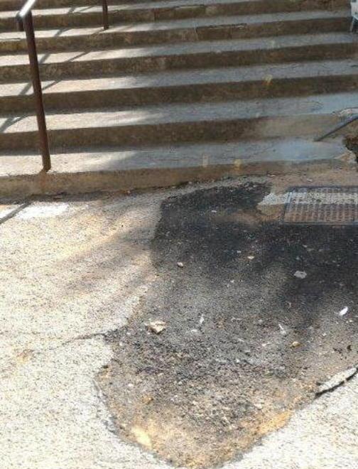 Erbacce, buche e incuria Sos decoro a Talamone 
