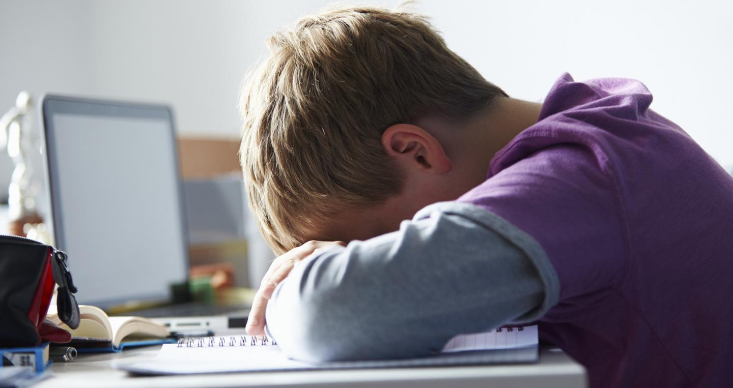 «Ecco come sopravvivere al cyberbullismo» 