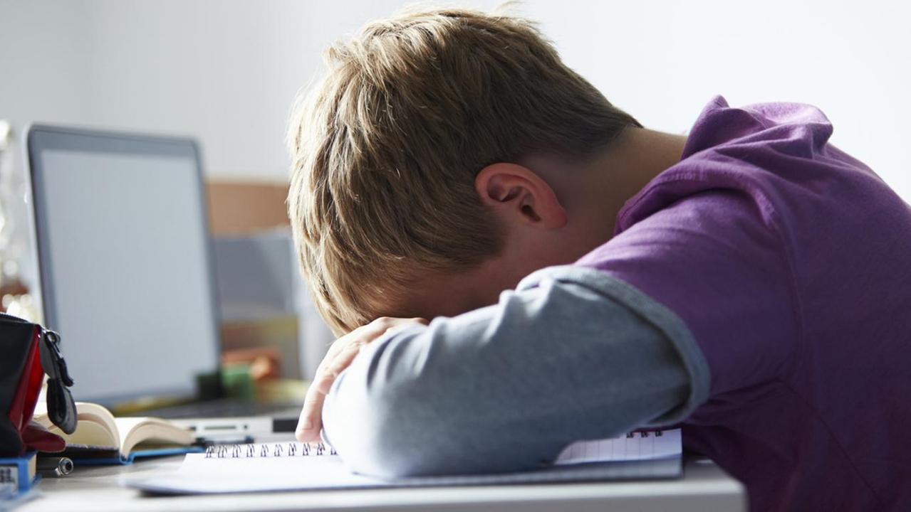 «Ecco come sopravvivere al cyberbullismo»