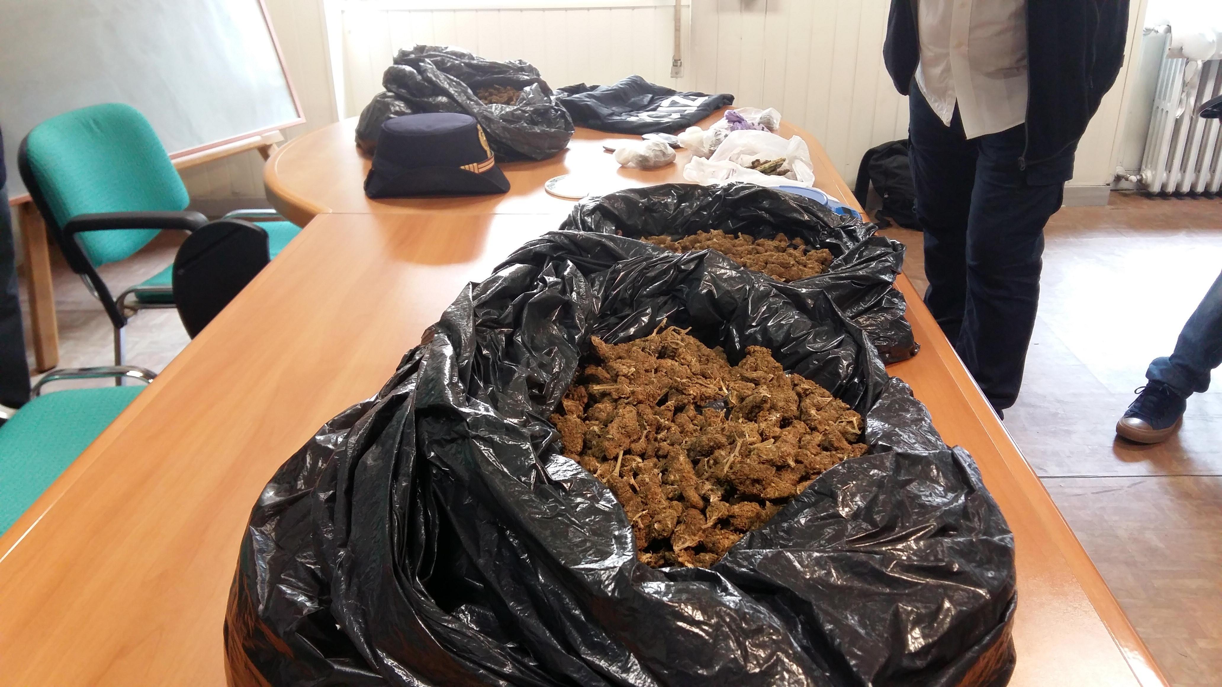 Sette chili e mezzo di marijuana in casa, arrestati marito e moglie 