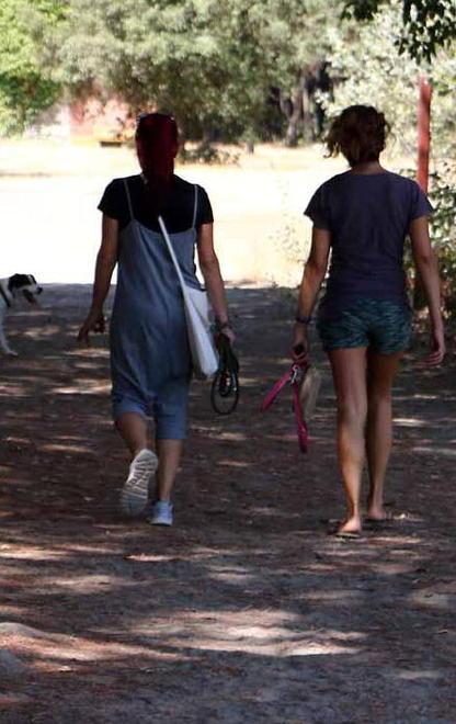 Bando semideserto 15 parchi restano senza un gestore 