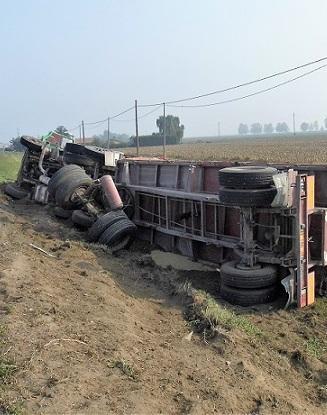 Tir carico di sementi si ribalta sulla Romea 