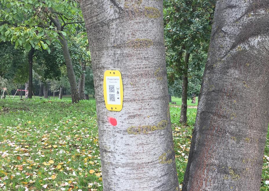 Correggio, al parco un codice a barre fa “parlare” le piante