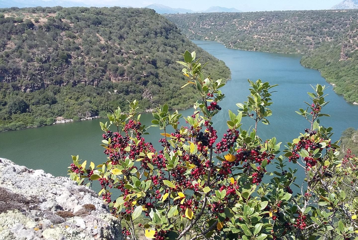 Dal Consorzio di bonifica torna l’acqua per usi aziendali