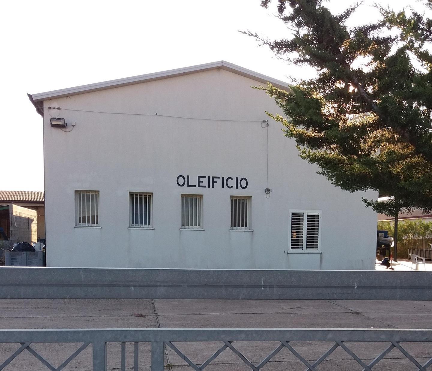 Prima giornata di molitura tecnologia per l’olio buono 