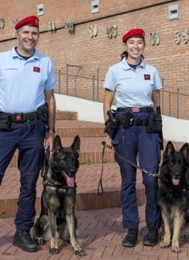 Dieci squadre cinofile si sfidano in campo 
