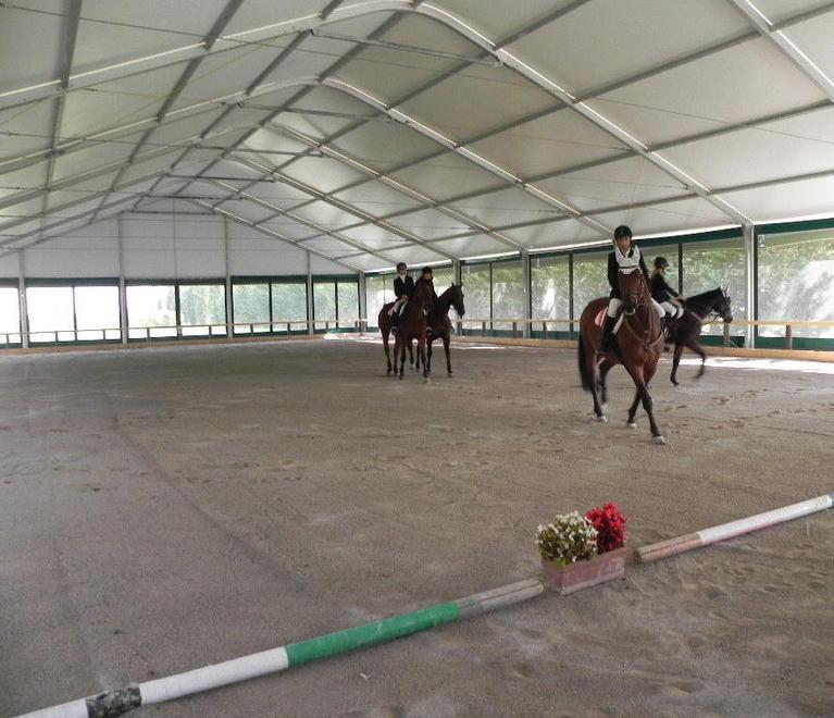 La riabilitazione si fa a cavallo 