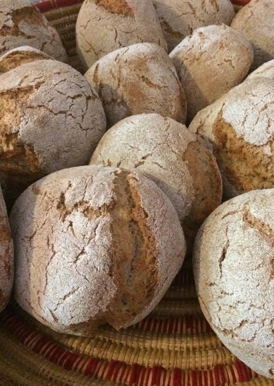 Nella fattoria didattica tra alta cucina e canapa