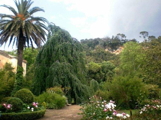 Il Giardino Aymerich nella rete regionale 