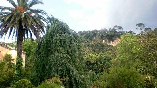 Il Giardino Aymerich nella rete regionale