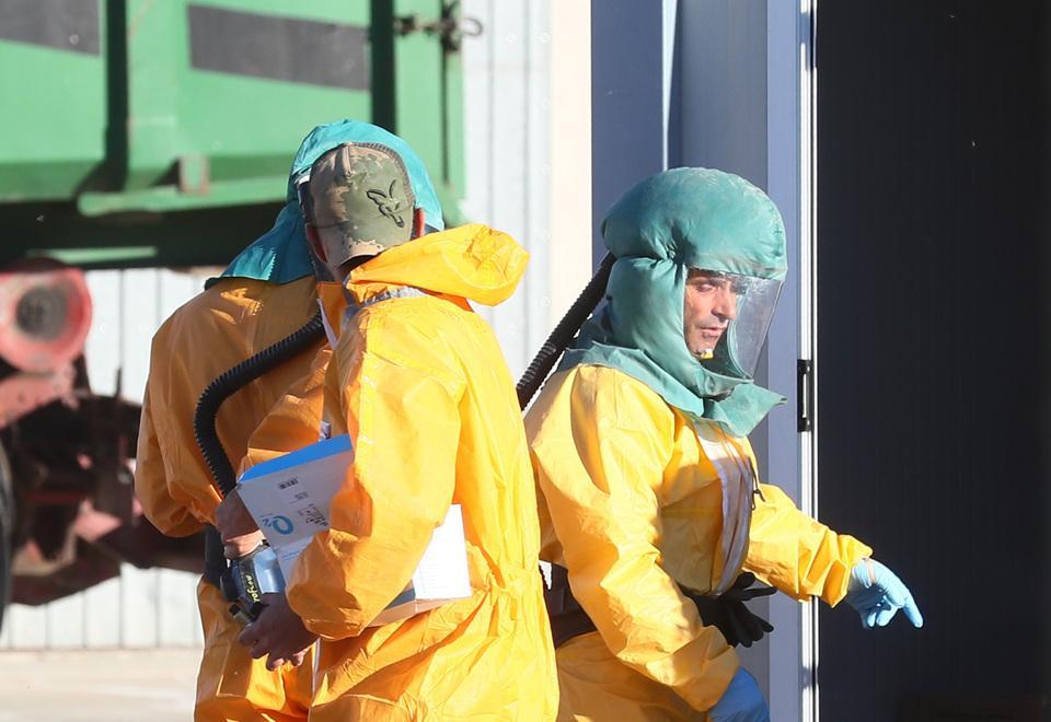 Ferrara, aviaria: 850mila galline da abbattere 
