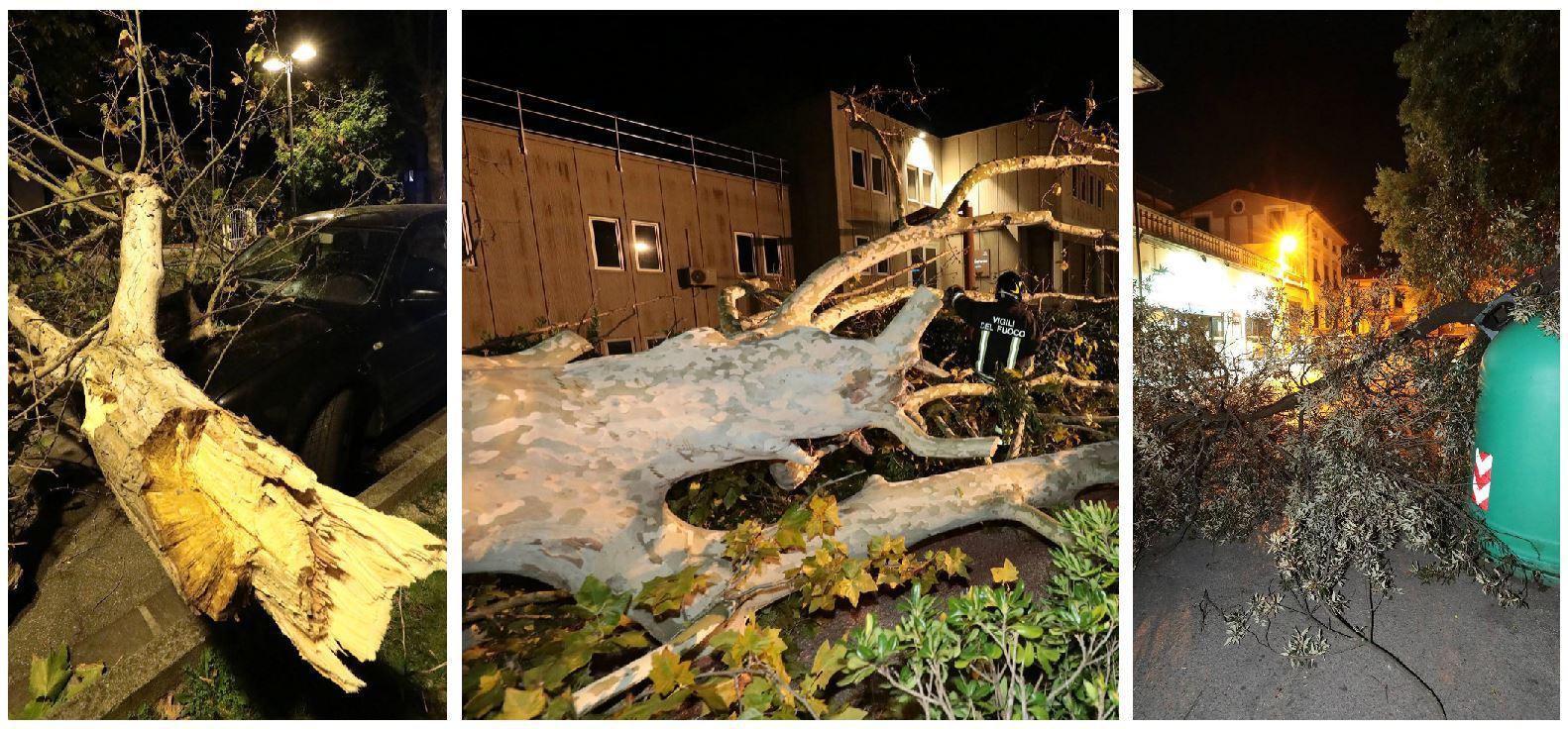 Da sinistra gli alberi caduti in viale Gramsci a Fucecchio, sulla sp 106 a Limite e in piazza Gramsci a Empoli (Foto Agenzia Carlo Sestini)