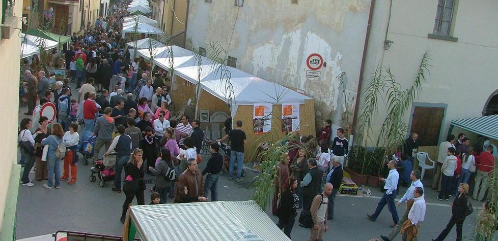 A Turbone il “Bosco è in festa” con l’ambiente