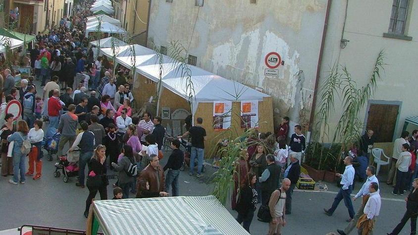 A Turbone il “Bosco è in festa” con l’ambiente
