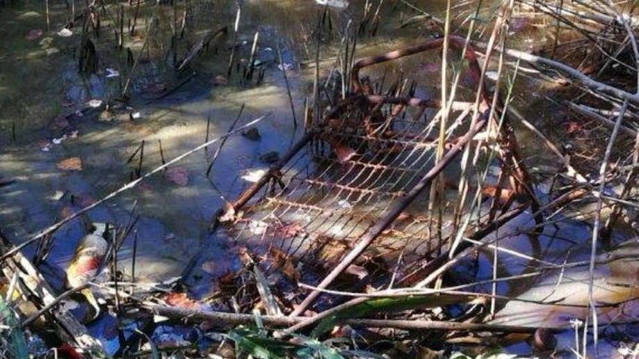 Nei fossi c’è materiale di ogni genere