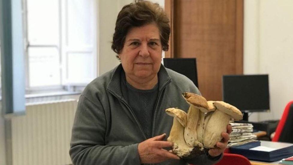 Una mega composizione di porcini