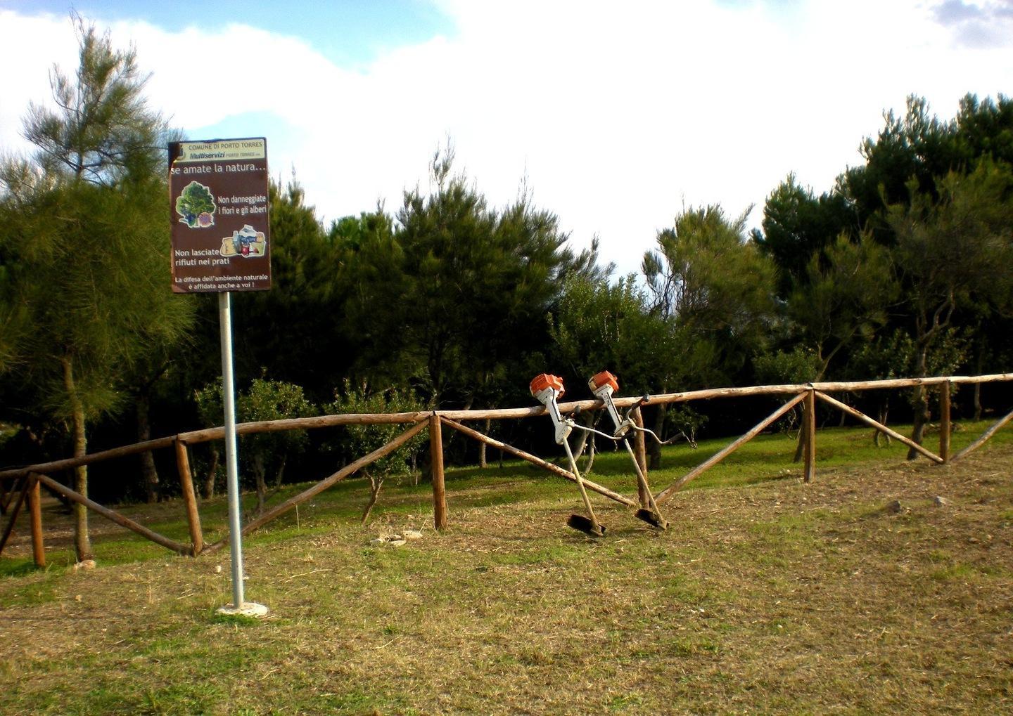 Cantieri di forestazione forse si parte a dicembre