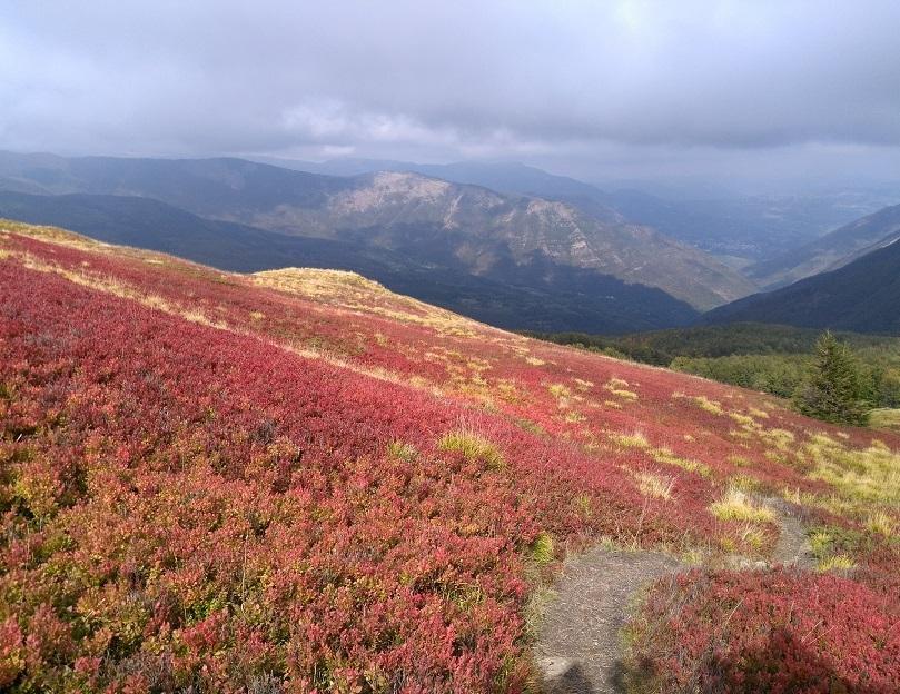 Tuffo nell’autunno ai Monti della Riva tra colori d’autore 