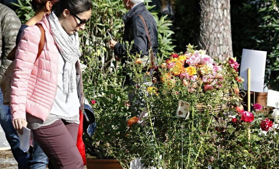 Harborea, festa nel parco tra piante, fiori e sapori esotici 
