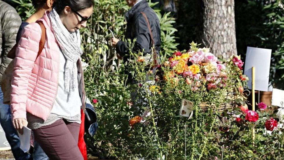 Harborea, festa nel parco tra piante, fiori e sapori esotici