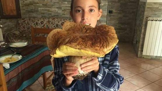 Siria Bacchetti col grande fungo