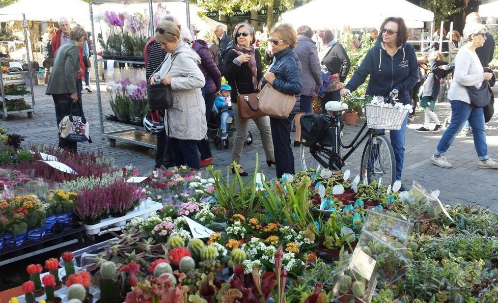 La città si colora con “Reggio in fiore”