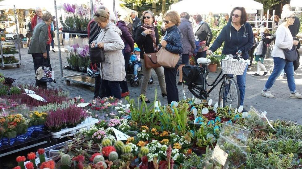 La città si colora con “Reggio in fiore”