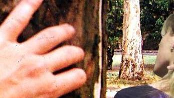 La salvezza spesso è un lavoro Aiuto anche per chi maltratta