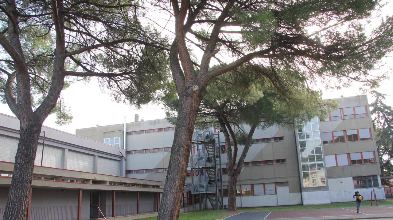 Scuola media Lippi