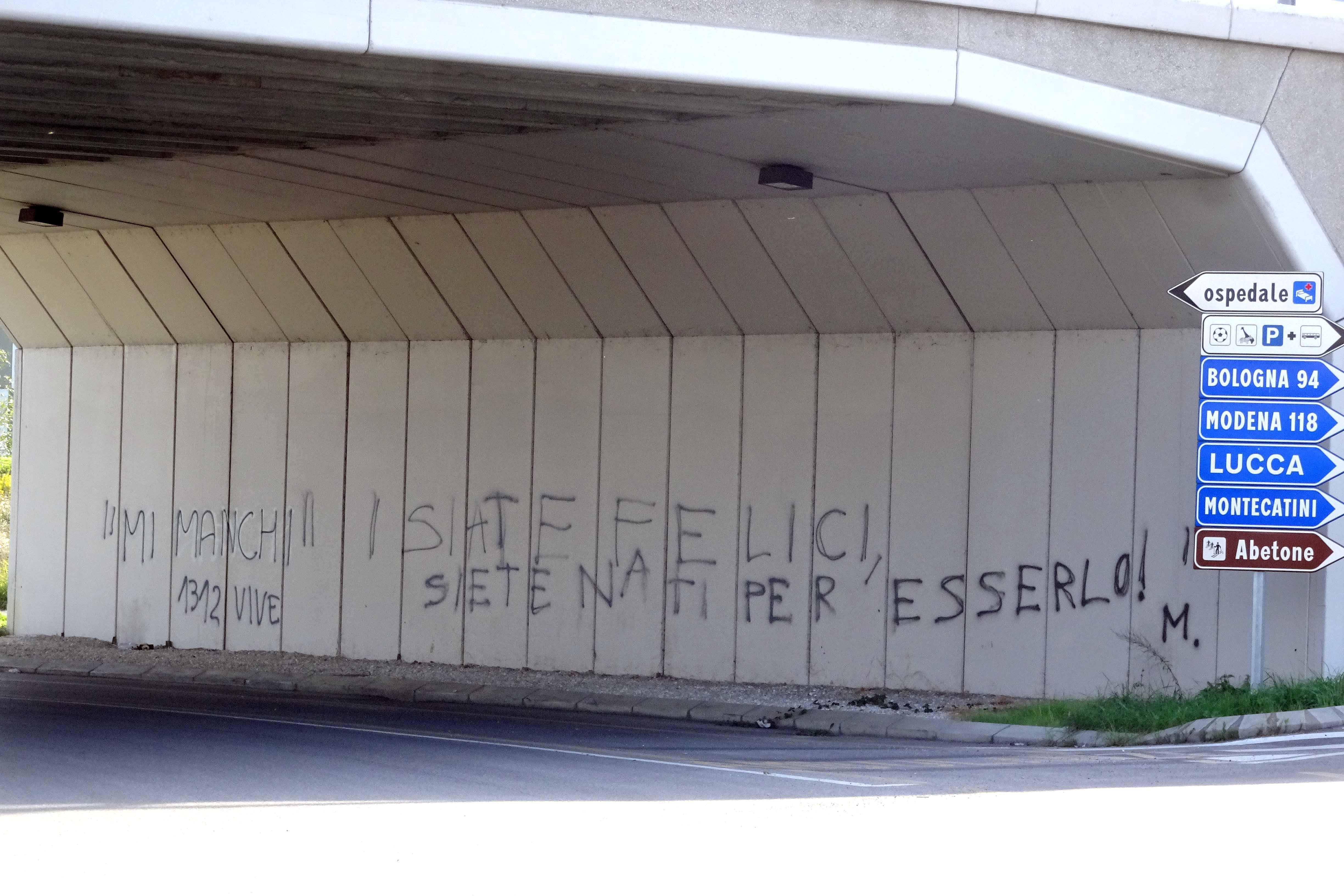 La parete del sottopasso imbrattata (Foto Gori)