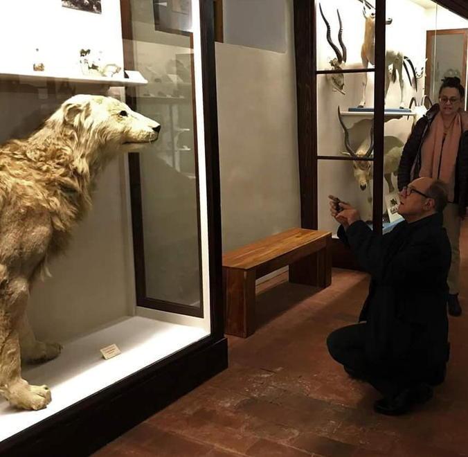 Anche Verdone in visita al Museo