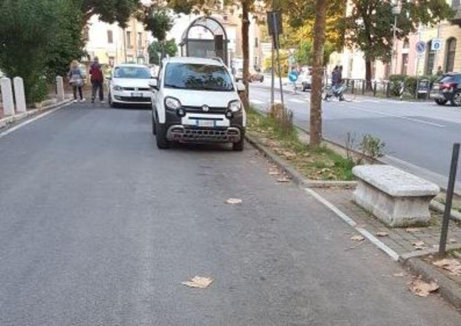 Parcheggia nelle strisce bianche e viene multata 