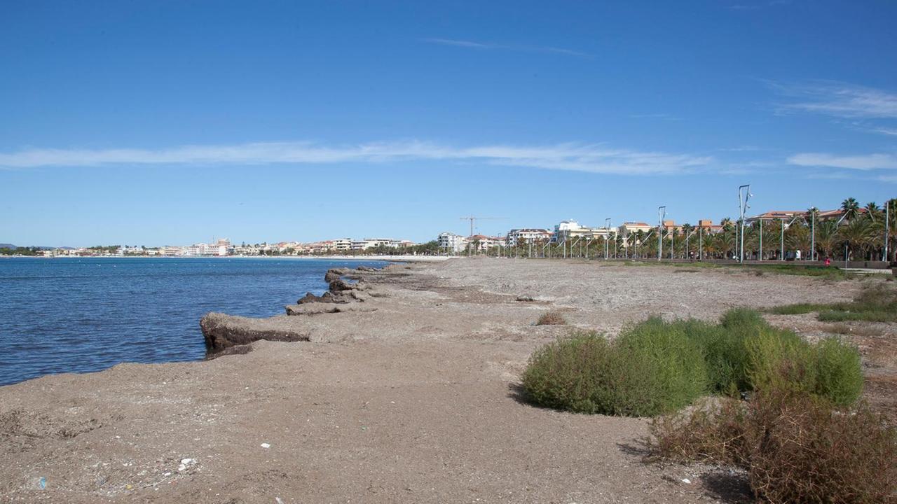 Il costoso “ritorno” delle alghe